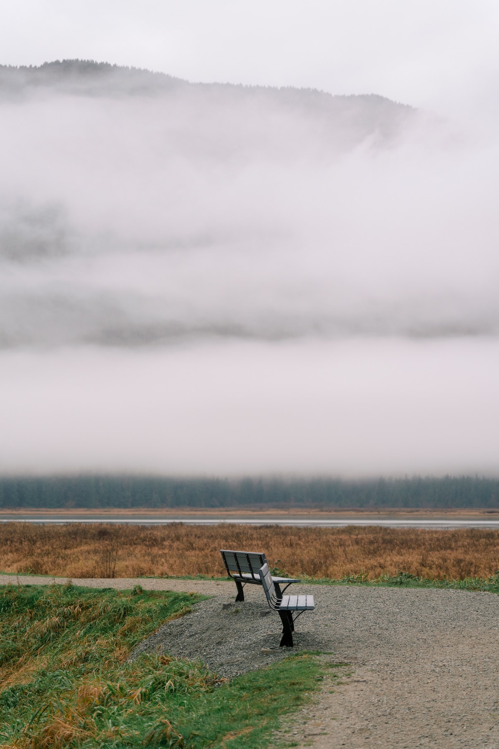 Simar & Manjeet — Vancouver, British Columbia Wedding Photography | White Daisy Weddings